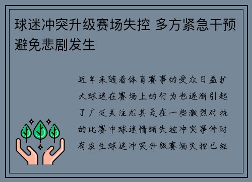 球迷冲突升级赛场失控 多方紧急干预避免悲剧发生